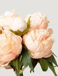 RUDY FLOWER Blush Pink Peony Bundle